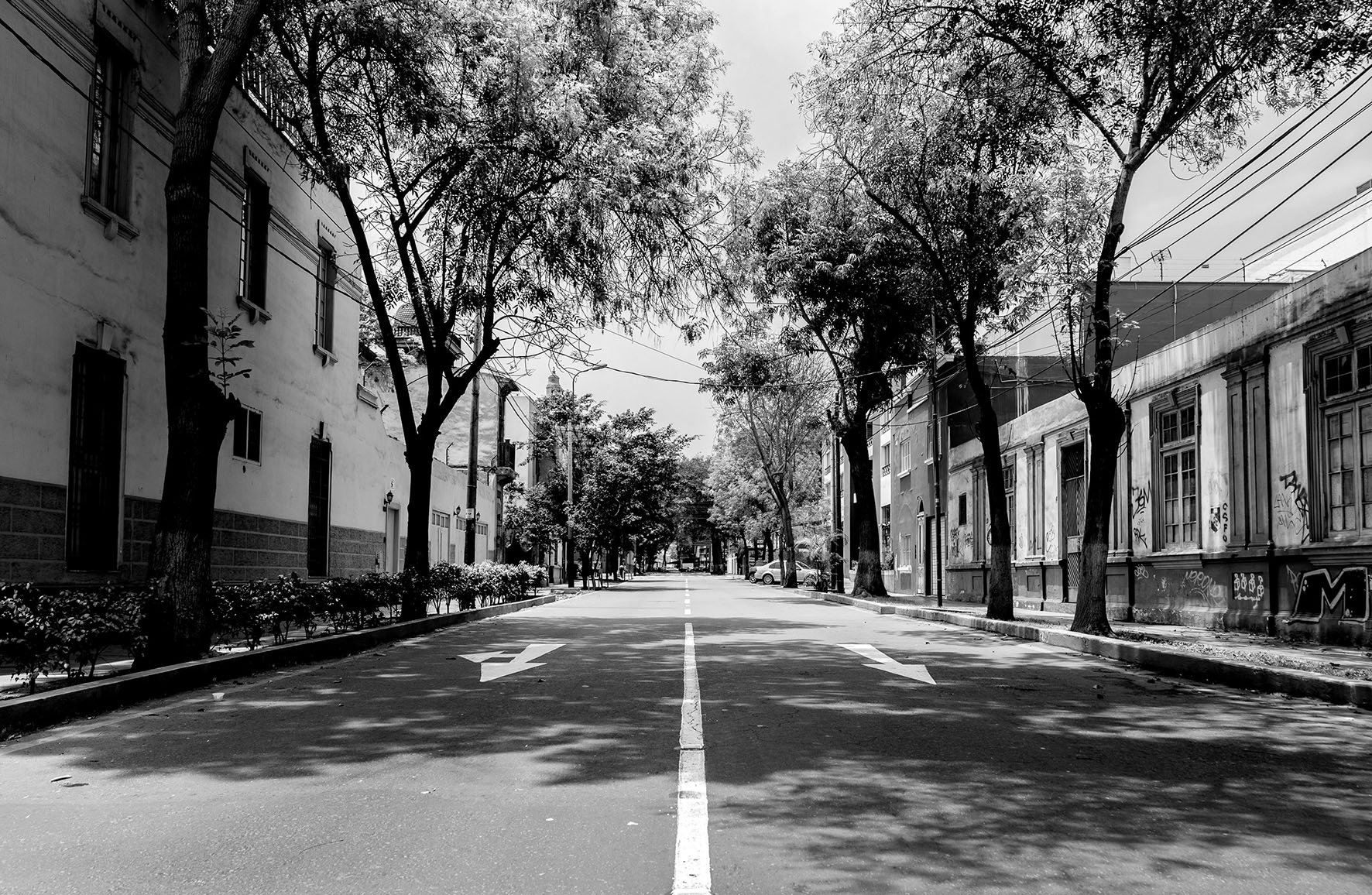 Rue_Vide_Andres_Urena_unsplash